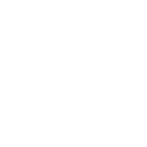 Custom Shopify <br> Development
