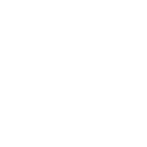 Shopify Plus <br> Support & Services