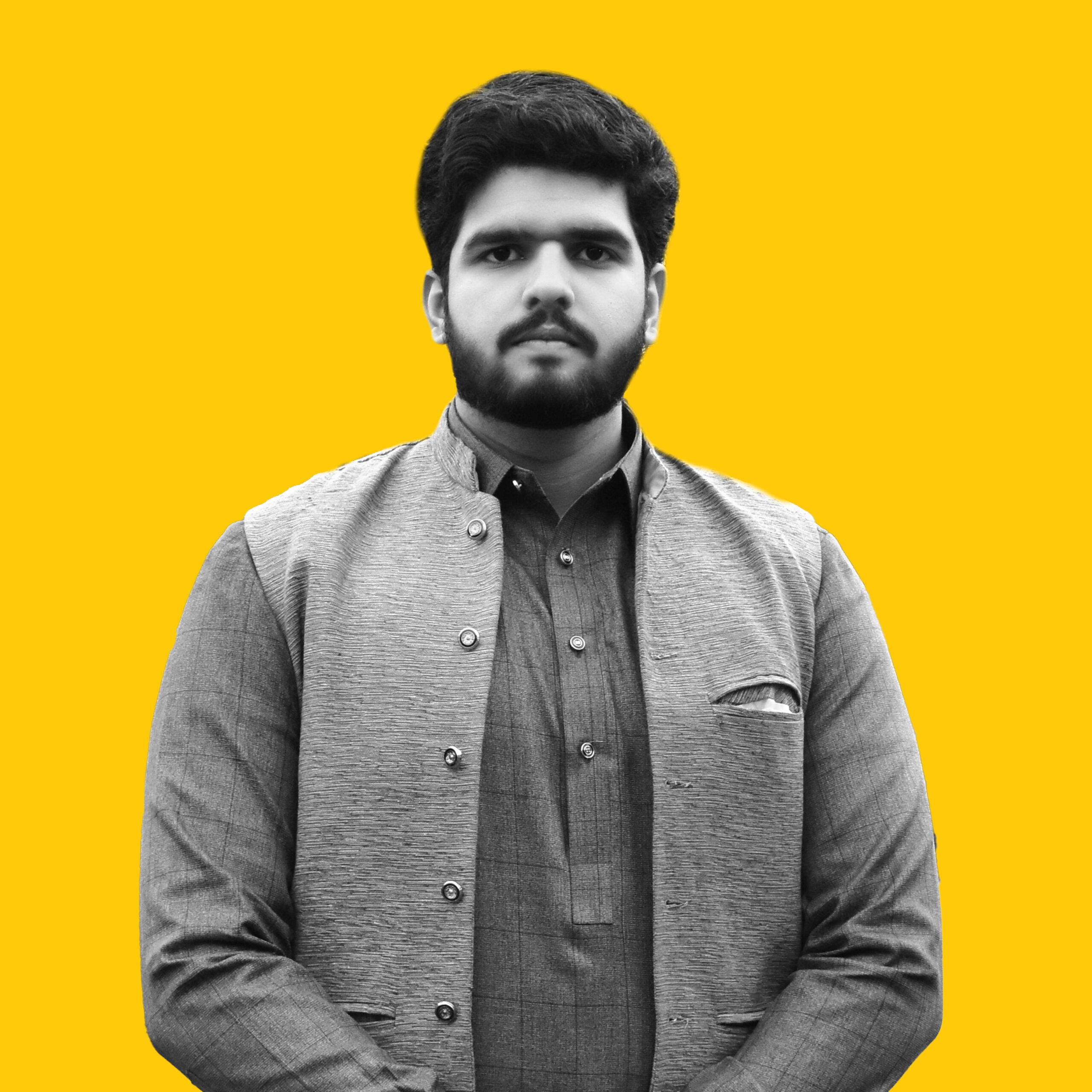 Developer